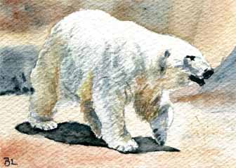"Polar Bear" by Beverly Larson, Fitchburg WI - Watercolor, SOLD